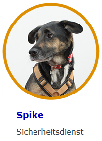 Spike